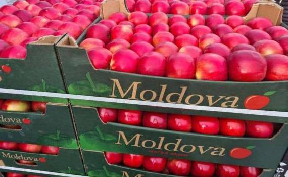 Молдова и Катар обсудили увеличение экспорта и импорта - agroexpert.md