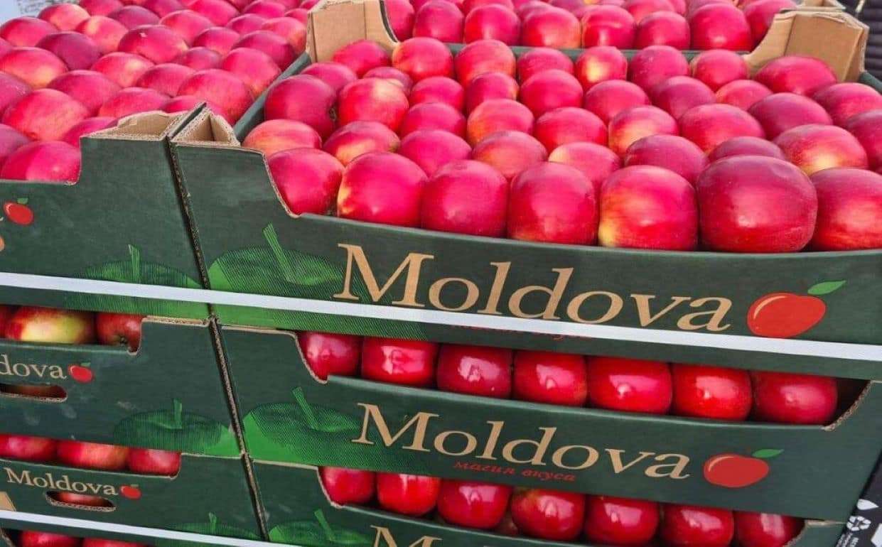 Молдова и Катар обсудили увеличение экспорта и импорта - agroexpert.md