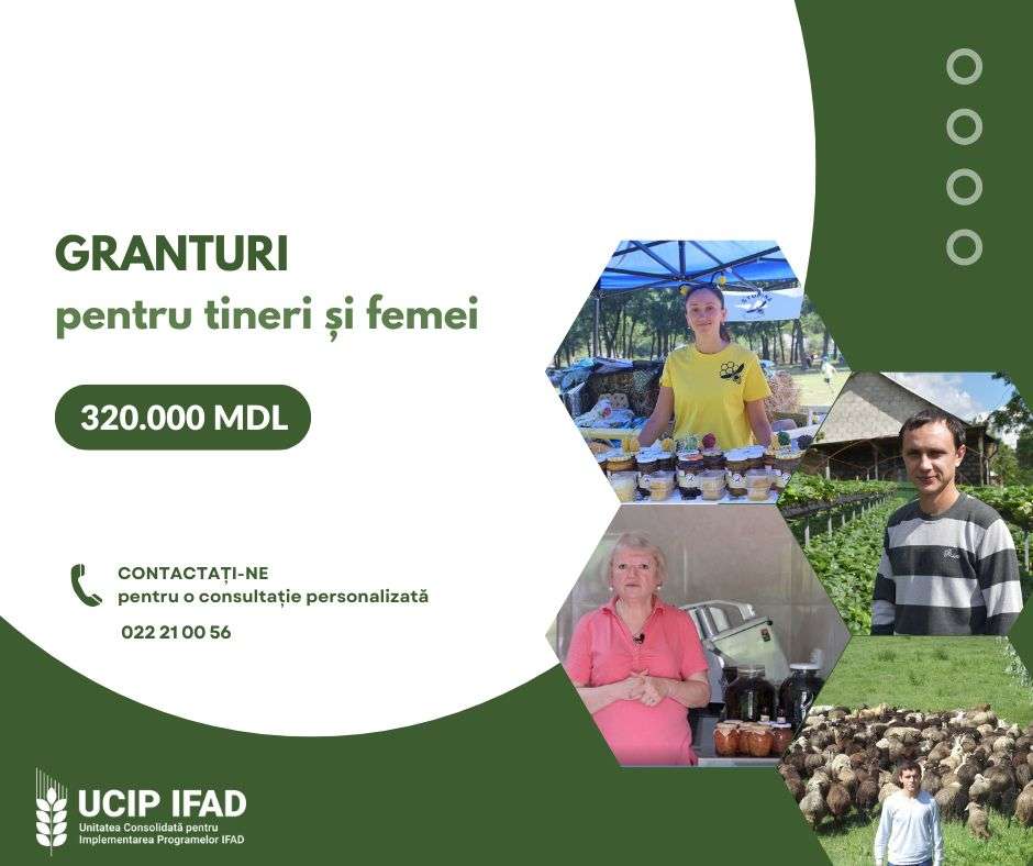 Oportunități UCIP IFAD - agroexpert.md