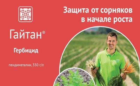 Гайтан  – довсходовый гербицид для защиты лука, моркови и подсолнечника - agroexpert.md
