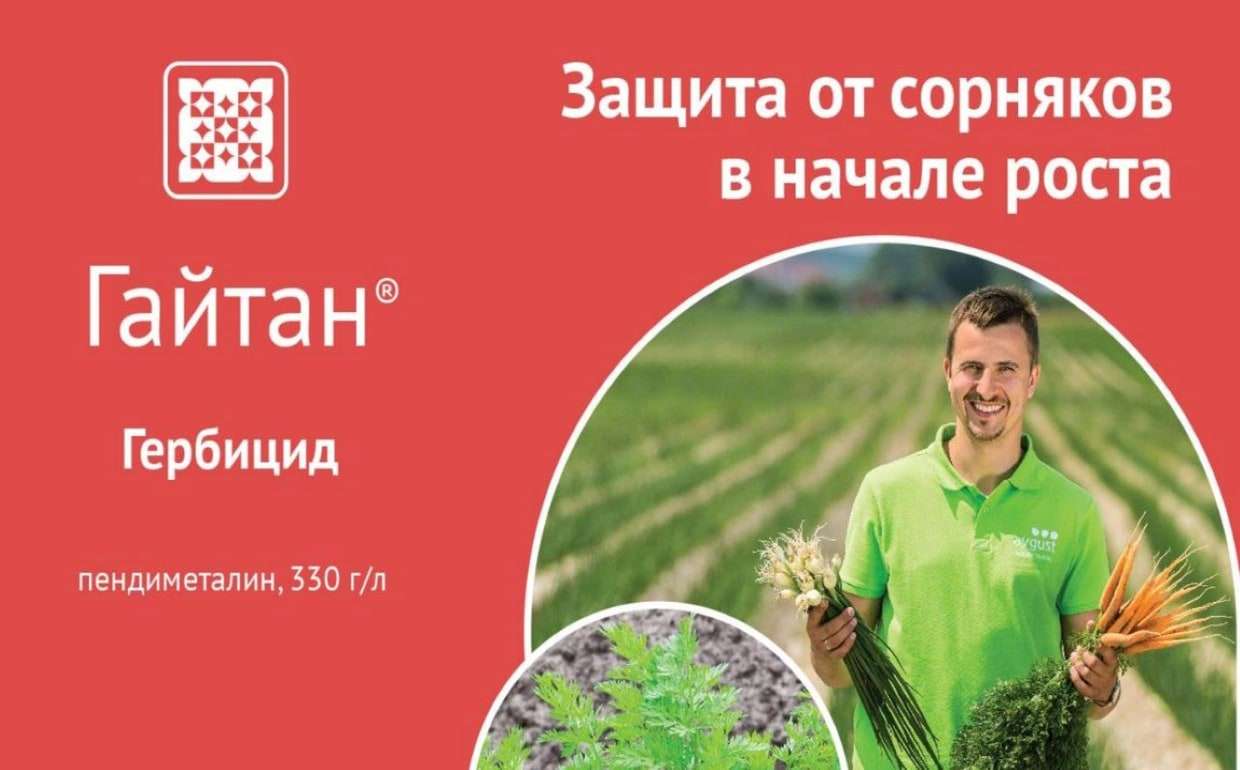 Гайтан  – довсходовый гербицид для защиты лука, моркови и подсолнечника - agroexpert.md