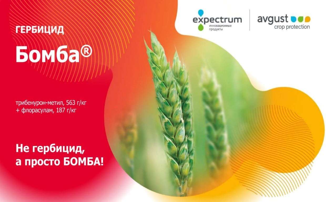 Бомба – мощный гербицид для защиты пшеницы и ячменя - agroexpert.md