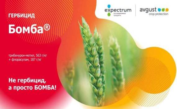 Бомба – мощный гербицид для защиты пшеницы и ячменя - agroexpert.md