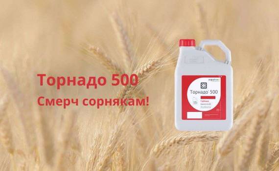 Торнадо 500 ВР – мощный гербицид сплошного действия - agroexpert.md