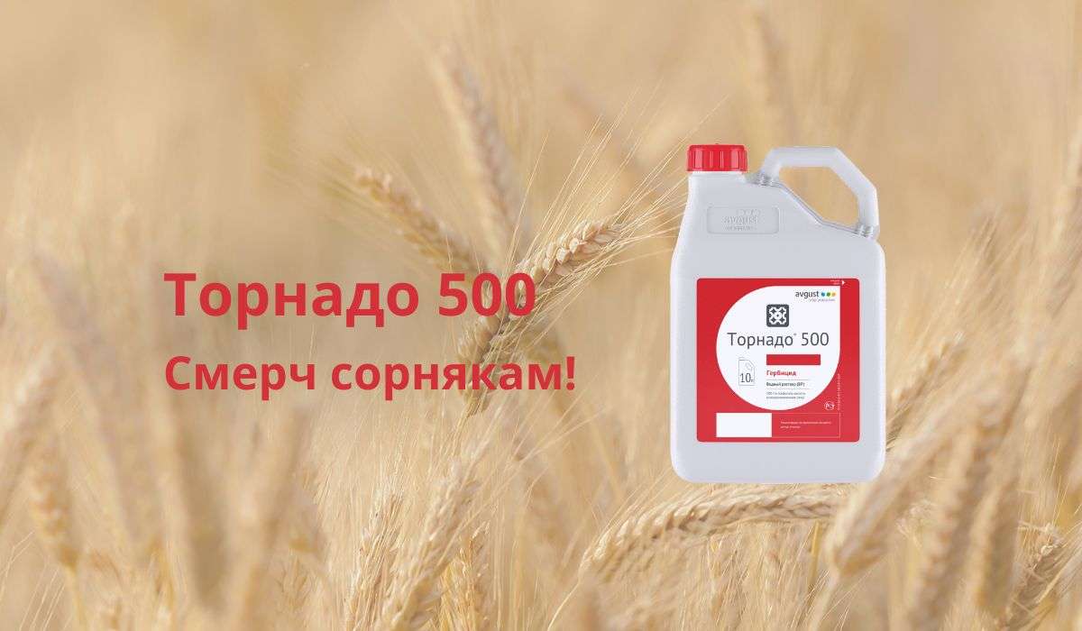 Торнадо 500 ВР – мощный гербицид сплошного действия - agroexpert.md