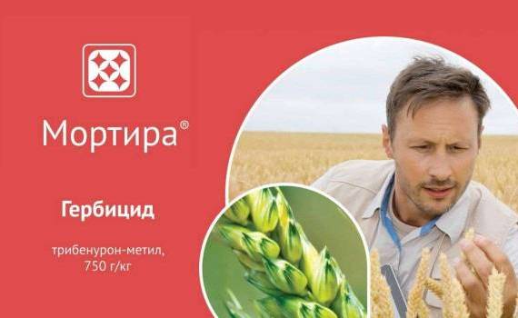 Мортира ВДГ – гербицид для защиты зерновых и подсолнечника - agroexpert.md