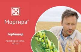 Мортира ВДГ – гербицид для защиты зерновых и подсолнечника - agroexpert.md