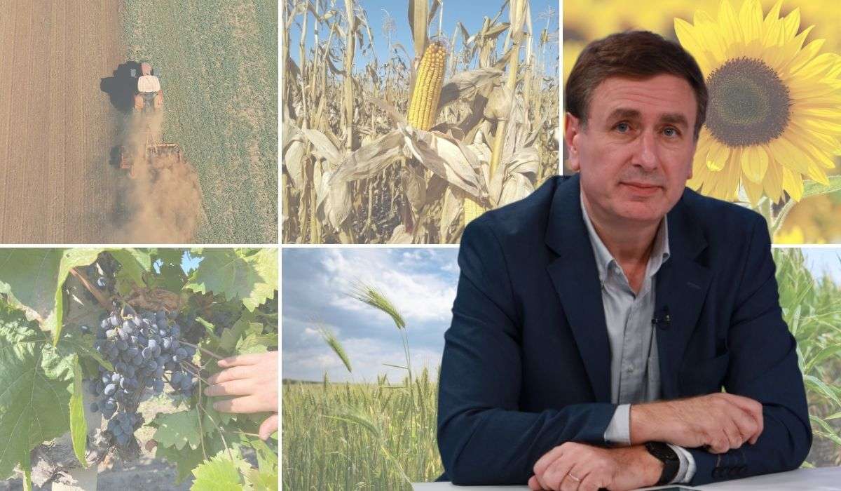 Сельское хозяйство Молдовы сократилось на 15% за год - agroexpert.md