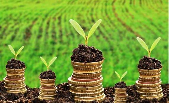 AIPA объявила прием заявок на субсидии для улучшения состояния земель - agroexpert.md