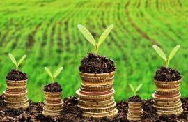 AIPA объявила прием заявок на субсидии для улучшения состояния земель - agroexpert.md