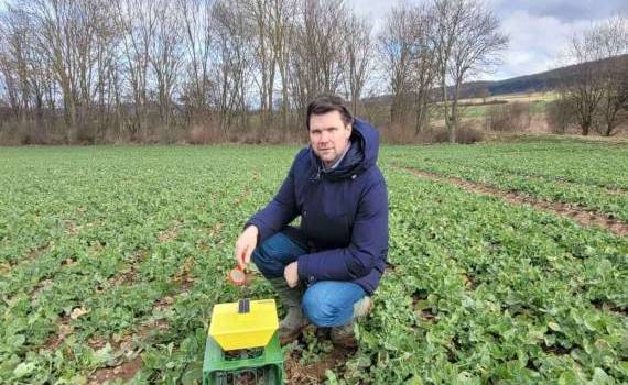 Как желтые ловушки для вредителей рапса с ИИ помогают немецким фермерам - agroexpert.md