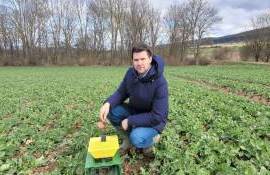 Как желтые ловушки для вредителей рапса с ИИ помогают немецким фермерам - agroexpert.md
