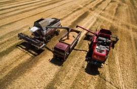 Мировое производство зерна в сезоне 2025/2026 побьет рекорд - agroexpert.md