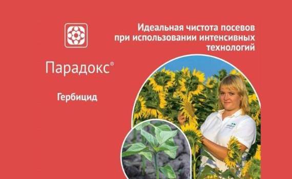 Парадокс ВК – гербицид для защиты бобовых, рапса и подсолнечника - agroexpert.md