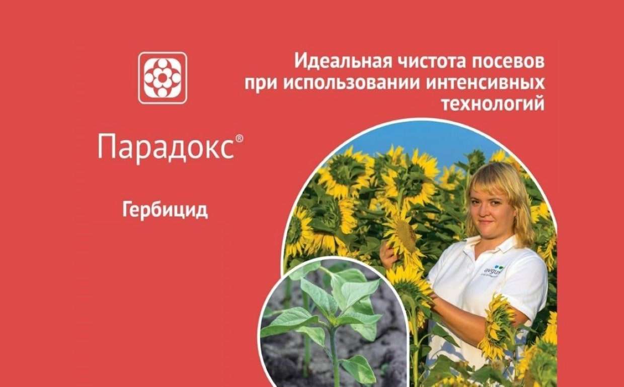 Парадокс ВК – гербицид для защиты бобовых, рапса и подсолнечника - agroexpert.md