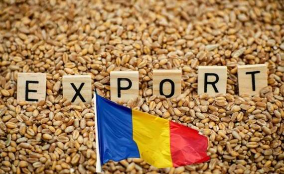 Румыния наращивает экспорт пшеницы и ячменя в условиях повышения цен - agroexpert.md