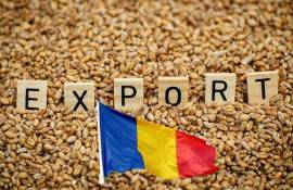 Румыния наращивает экспорт пшеницы и ячменя в условиях повышения цен - agroexpert.md