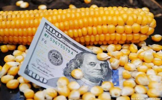 Ценовые качели на кукурузу формируют риски для украинских аграриев - agroexpert.md