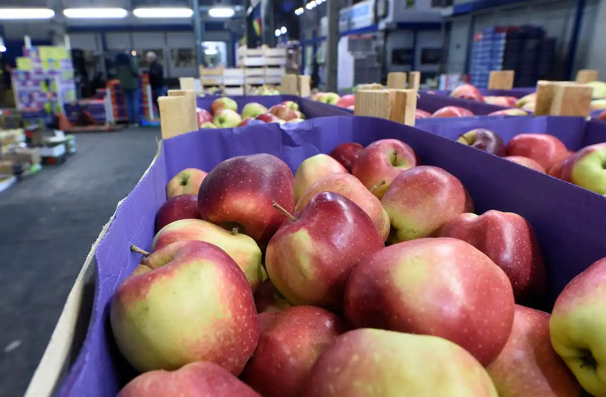 Россия готова расширить список экспортеров молдавской садоводческой продукции