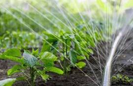 activitatea asociațiilor utilizatorilor de apă pentru irigații - agroexpert.md