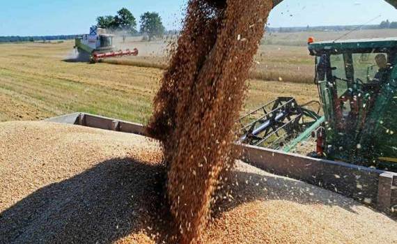На фоне слабого спроса Румыния остается крупнейшим экспортером зерна - agroexpert.md