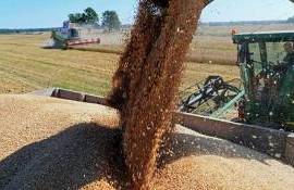 На фоне слабого спроса Румыния остается крупнейшим экспортером зерна - agroexpert.md