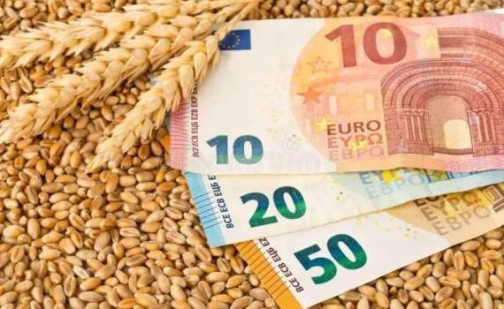 В пятницу на бирже Euronex цены на пшеницы достигли нового минимума - agroexpert.md