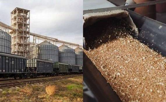 Мартовский экспорт пшеницы из РФ сократился в три раза - agroexpert.md