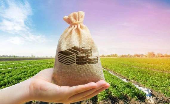 Фонд субсидий в 2025 году увеличат на 200 млн леев - agroexpert.md