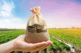 Фонд субсидий в 2025 году увеличат на 200 млн леев - agroexpert.md