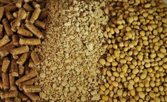 Анализ международной торговли соевым шротом в Молдове в 2022–2025 годах - agroexpert.md