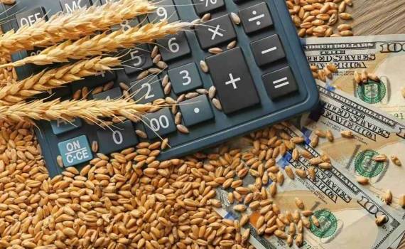 В Молдове в первую неделю апреля выплатили 62 млн леев субсидий - agroexpert.md