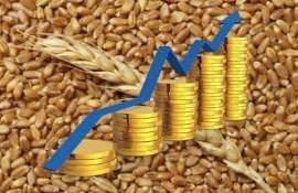 Европейский рынок пшеницы в понедельник: цены растут на 1,3 процента - agroexpert.md