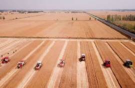 Китай ставит перед собой задачу стать аграрной державой - agroexpert.md