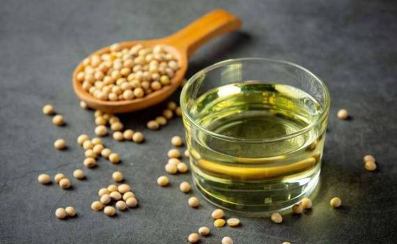 Анализ международной торговли соевым маслом в Молдове (2022–2025) - agroexpert.md