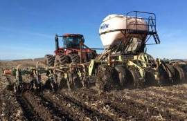 Если кукурузе нужен калий – особенности весенней подкормки - agroexpert.md