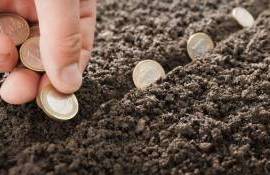 Парламент одобрил возврат налога на землю за счёт накопленного НДС - agroexpert.md