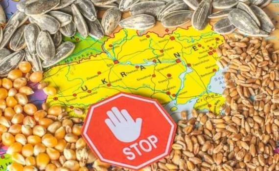 ЕС не планирует продлевать особый режим торговли с Украиной - agroexpert.md