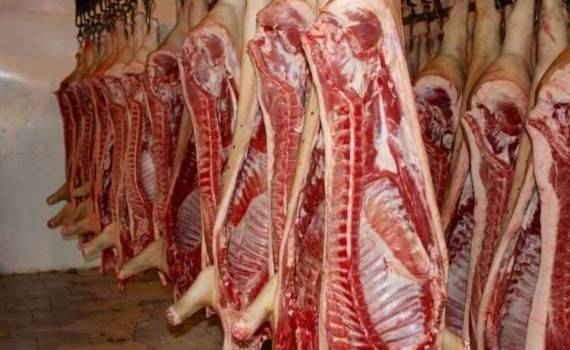 Китай открывает рынок для испанской свинины из-за торговой войны с США - agroexpert.md