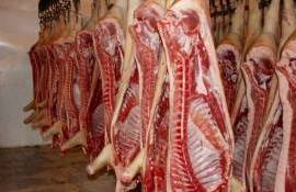 Китай открывает рынок для испанской свинины из-за торговой войны с США - agroexpert.md