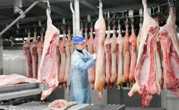 Экспорт свинины из ЕС в 2024 году растет, хотя в Китае теряет позиции - agroexpert.md