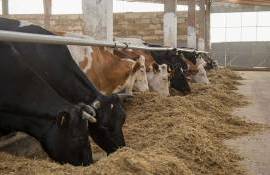 Фермеры подали заявок на 8 млн дол. в рамках третьего этапа грантов AGGRI - agroexpert.md