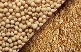 В ЕС потребление соевого шрота в 2024/25 МГ составит 28,3 млн тонн - agroexpert.md