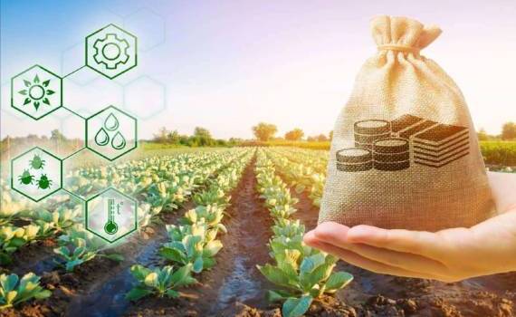 Фермеры могут подать заявки на почвенные субсидии до 25 апреля - agroexpert.md