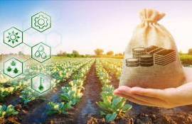 Фермеры могут подать заявки на почвенные субсидии до 25 апреля - agroexpert.md