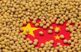 Уже в апреле Китай значительно увеличит закупки бразильской сои - agroexpert.md