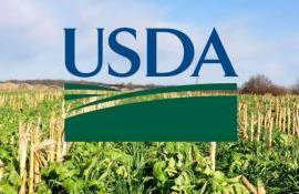 USDA меняет подход к поддержке фермеров - agroexpert.md