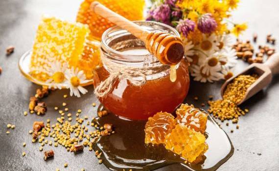 Honey of Moldova” – pași spre consolidarea unui brand național - agroexpert.md