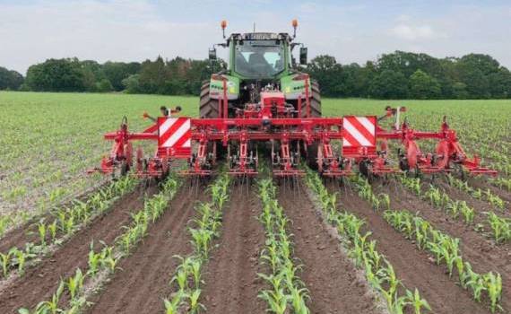 Технология сева кукурузы – новые тенденции у американских фермеров - agroexpert.md    