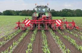 Технология сева кукурузы – новые тенденции у американских фермеров - agroexpert.md    